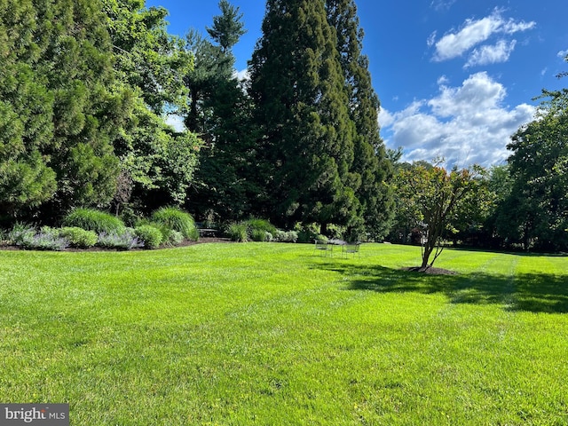 2212 Boxmere Rd, Lutherville Timonium, MD 21093 - view of grassy yard
