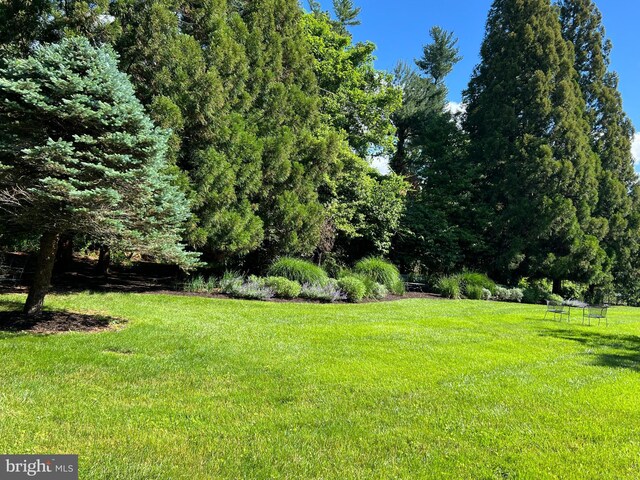 2212 Boxmere Rd, Lutherville Timonium, MD 21093 - view of grassy yard