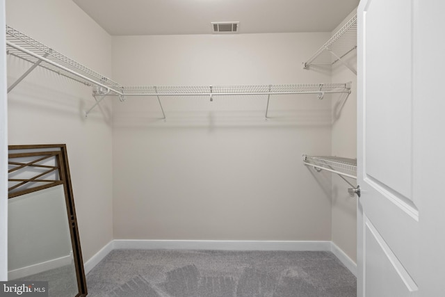 157 Fleet St Unit 1006, Oxon Hill, MD 20745 - spacious closet with carpet