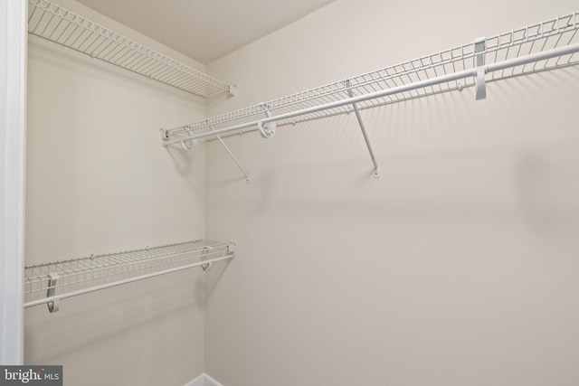 157 Fleet St Unit 1006, Oxon Hill, MD 20745 - view of walk in closet
