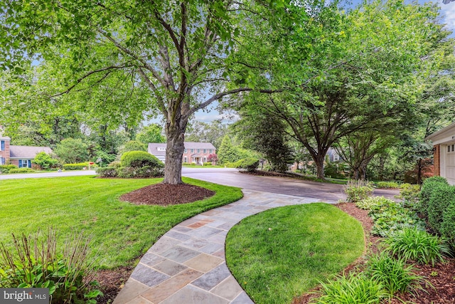 10127 Hillington Ct, Vienna, VA 22182 - view of grassy yard featuring driveway