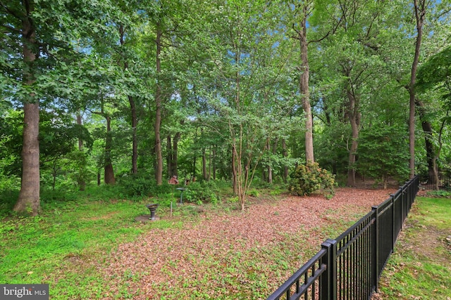 850 Still Creek Ln, Gaithersburg, MD 20878 - view of yard