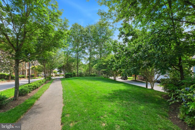 850 Still Creek Ln, Gaithersburg, MD 20878 - view of grassy yard
