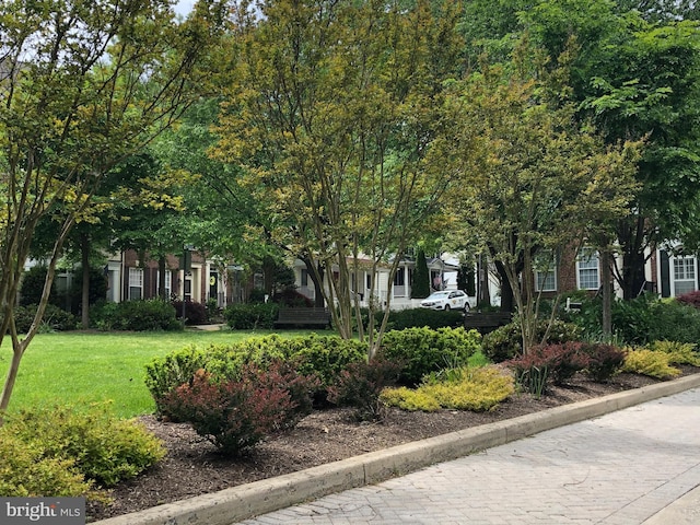 850 Still Creek Ln, Gaithersburg, MD 20878 - view of property hidden behind natural elements with a front lawn