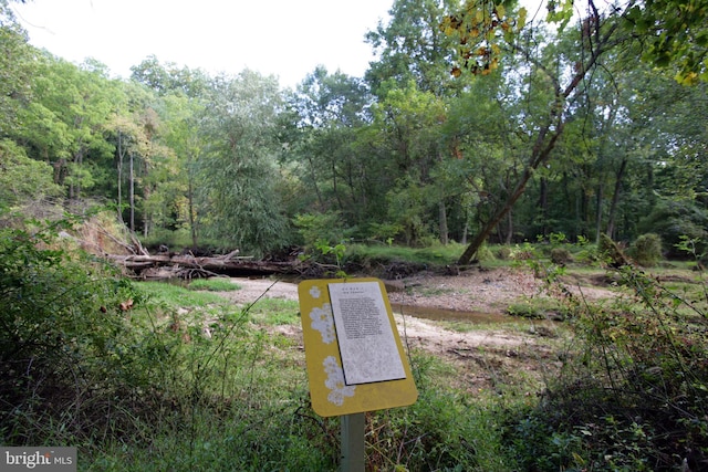 850 Still Creek Ln, Gaithersburg, MD 20878 - view of yard featuring a wooded view