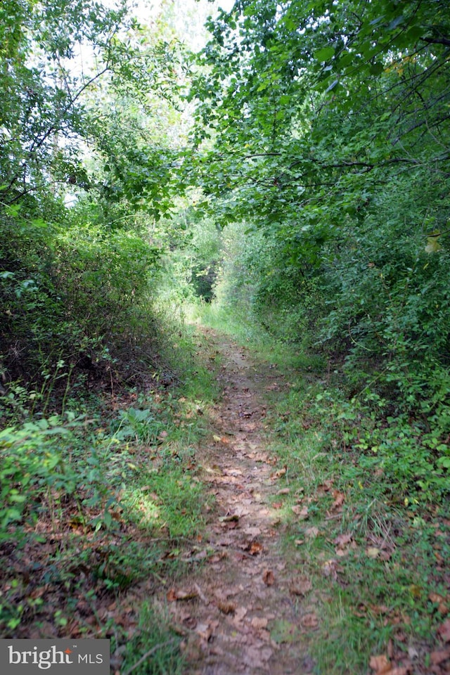 850 Still Creek Ln, Gaithersburg, MD 20878 - view of nature