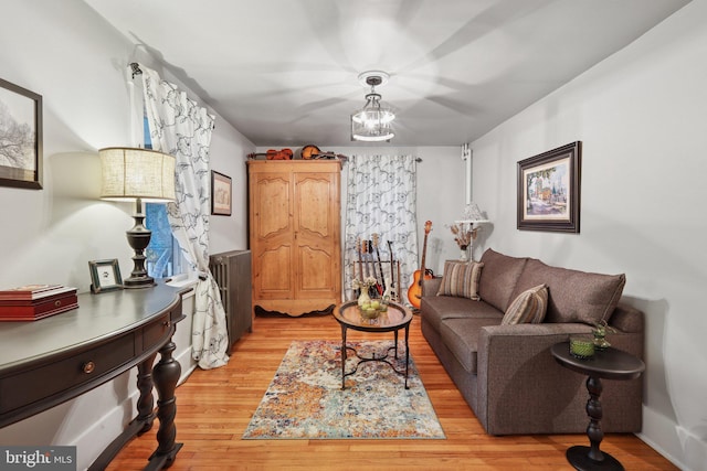 2 Broad St, Stockton, NJ 08559 - living room with light wood-style floors and radiator heating unit