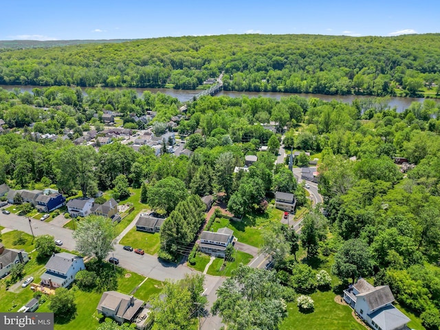 2 Broad St, Stockton, NJ 08559 - drone / aerial view of a forest and a large body of water