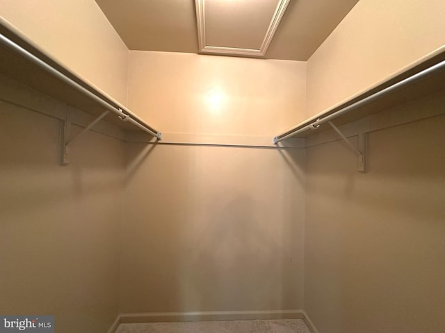 448 Country Club Dr, Lansdale, PA 19446 - view of spacious closet