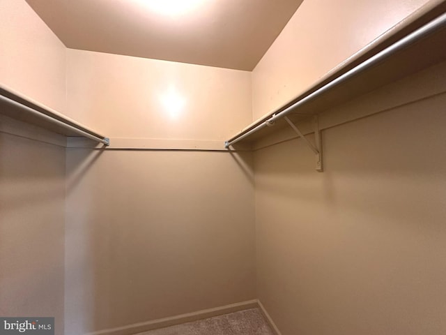 448 Country Club Dr, Lansdale, PA 19446 - walk in closet with carpet floors