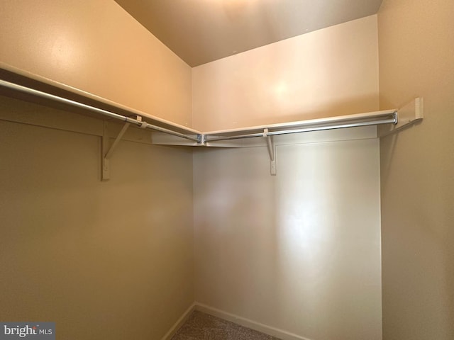 448 Country Club Dr, Lansdale, PA 19446 - walk in closet featuring carpet flooring