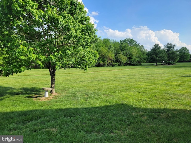 231 Gaunt Dr, Mickleton, NJ 08056 - view of grassy yard