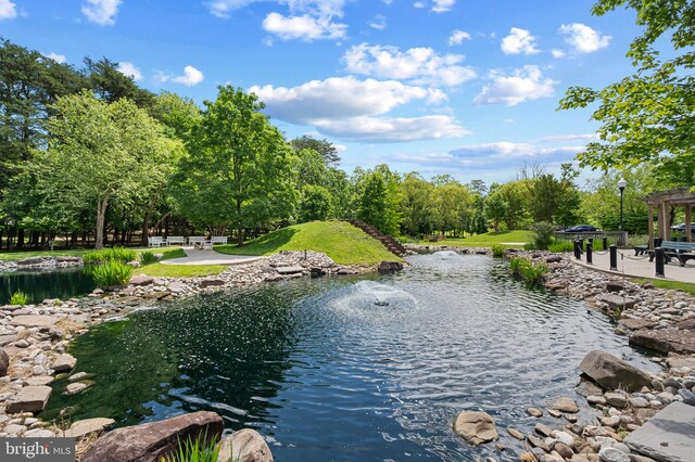 3100 N Leisure World Blvd Unit 716, Silver Spring, MD 20906 - water view with a tree filled landscape