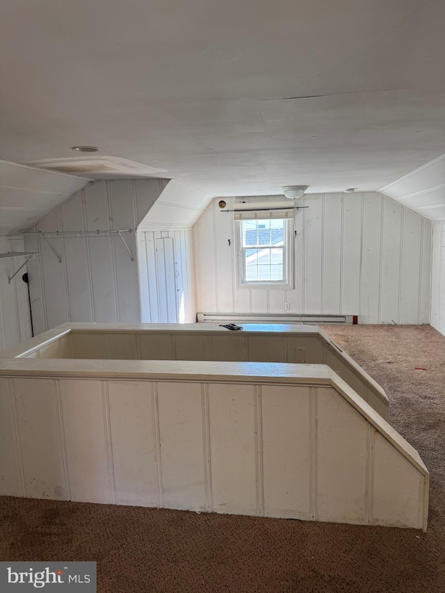 72 Maryland Ave, Crisfield, MD 21817 - kitchen with vaulted ceiling and carpet