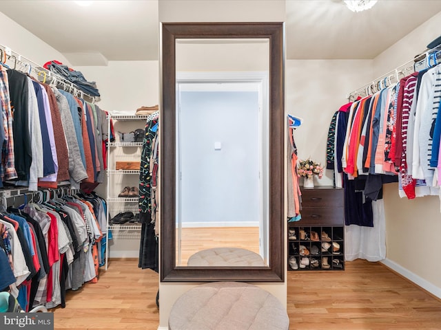 7100 Ewing Ct, Middletown, MD 21769 - walk in closet featuring wood finished floors