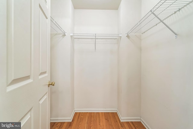 22 Regents Ct, Bensalem, PA 19020 - spacious closet featuring wood finished floors