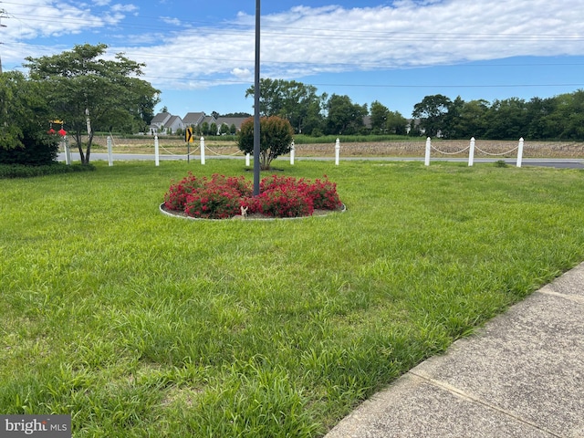36032 Double Bridges Rd, Frankford, DE 19945 - view of grassy yard