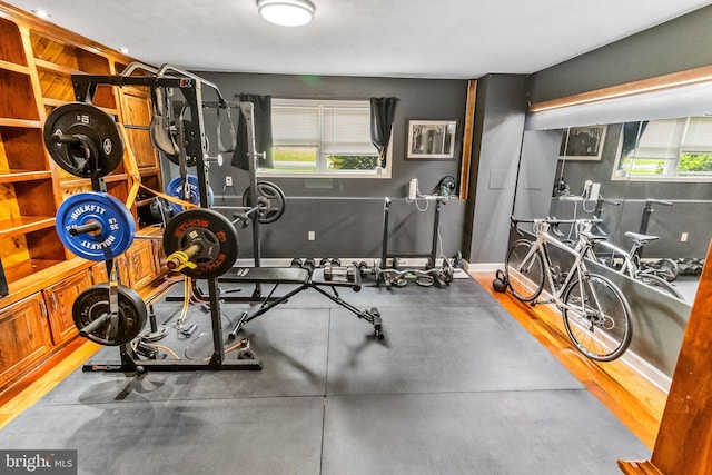 362 Sudley Ln, Martinsburg, WV 25403 - exercise room featuring plenty of natural light