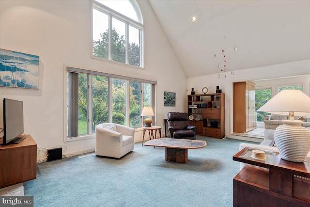 3 White Horse Ln, Spring City, PA 19475 - carpeted living room with high vaulted ceiling