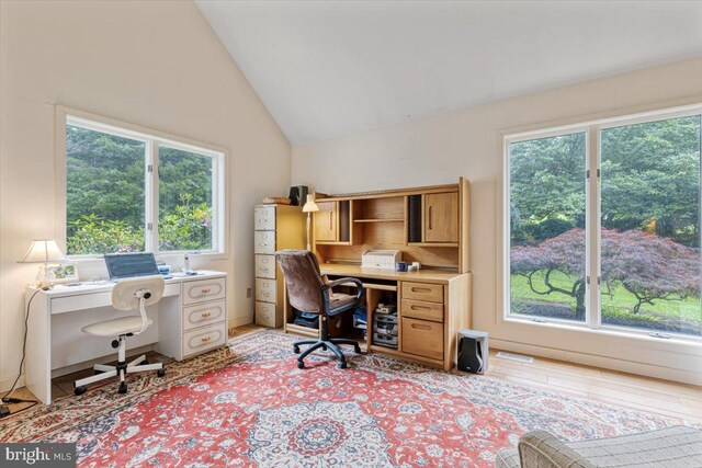 3 White Horse Ln, Spring City, PA 19475 - office featuring vaulted ceiling and light wood-type flooring