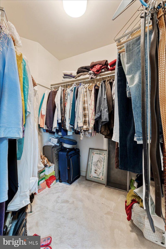 3 White Horse Ln, Spring City, PA 19475 - walk in closet with carpet floors