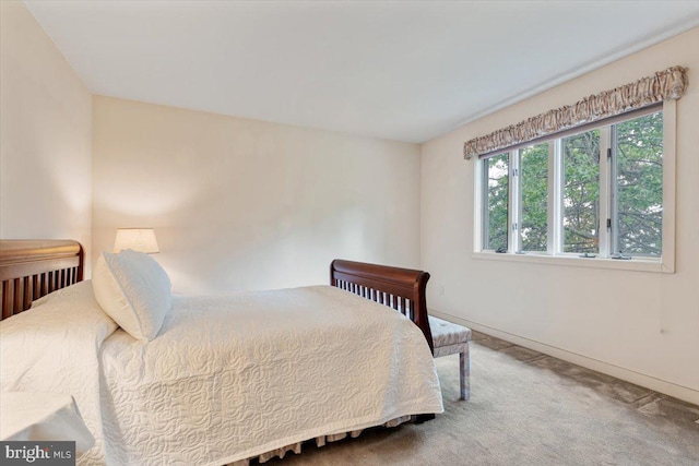 3 White Horse Ln, Spring City, PA 19475 - bedroom with carpet and baseboards