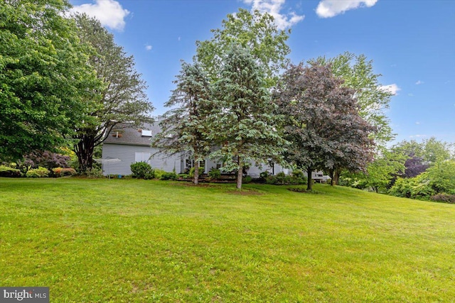 3 White Horse Ln, Spring City, PA 19475 - view of green lawn