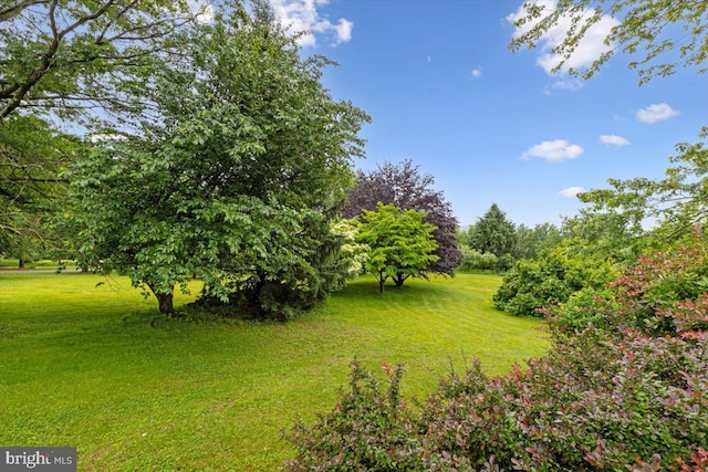 3 White Horse Ln, Spring City, PA 19475 - view of green lawn