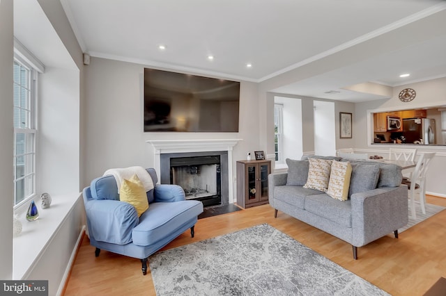 3331 Lakeside View Dr Unit 6-8, Falls Church, VA 22041 - living room with light wood-style flooring, crown molding, a fireplace with flush hearth, recessed lighting, and baseboards
