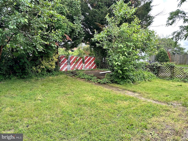 2233 N Dinwiddie St, Arlington, VA 22207 - view of yard