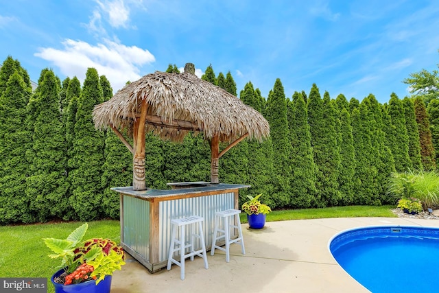 229 Lakshman Trl, Dover, DE 19904 - swimming pool featuring a patio and a forest view