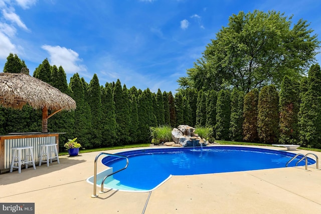 229 Lakshman Trl, Dover, DE 19904 - outdoor pool featuring a patio area, a diving board, and a wooded view
