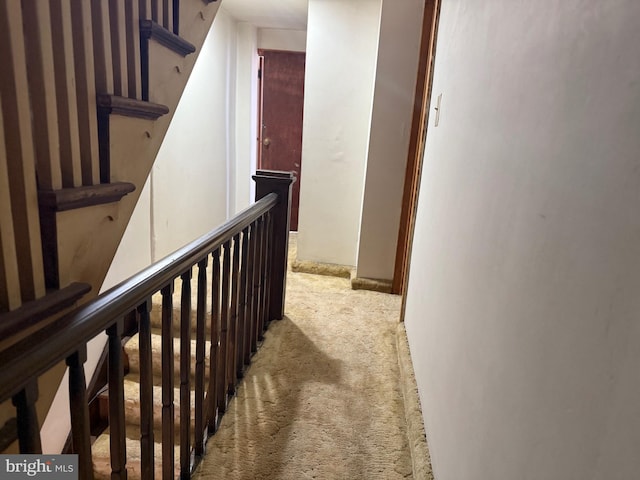 914 Fernon St, Philadelphia, PA 19148 - hall with carpet and an upstairs landing