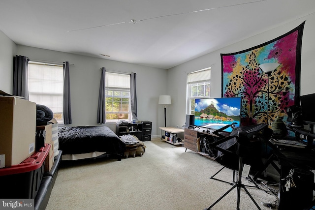 600 Small Reward Rd, Huntingtown, MD 20639 - bedroom featuring carpet flooring and multiple windows