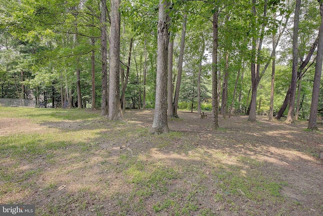 600 Small Reward Rd, Huntingtown, MD 20639 - view of tree filled area
