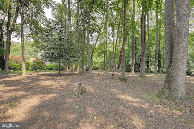 600 Small Reward Rd, Huntingtown, MD 20639 - view of yard