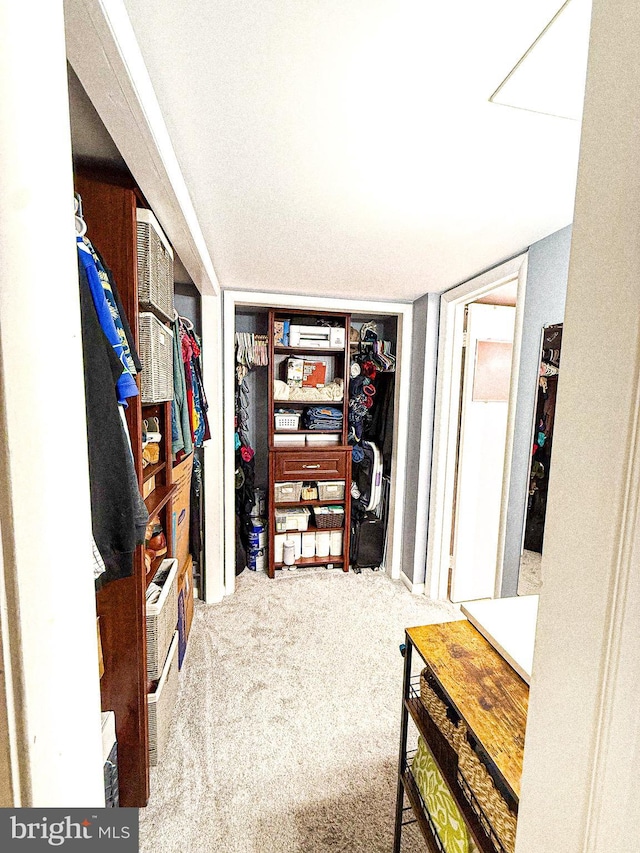 128 Roberts Ln Unit 100, Alexandria, VA 22314 - walk in closet featuring carpet flooring