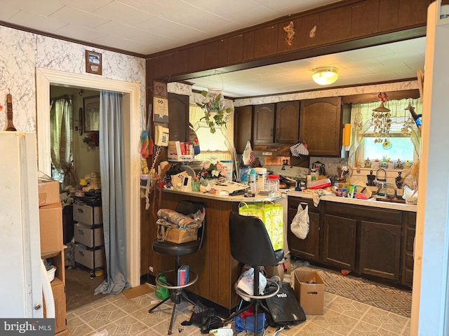 67 Fairfield St, Carlisle, PA 17013 - kitchen with light countertops, dark brown cabinetry, and a sink