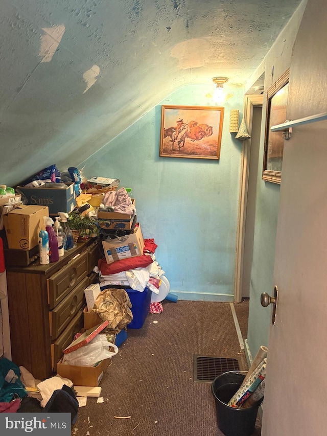67 Fairfield St, Carlisle, PA 17013 - bonus room featuring lofted ceiling and carpet