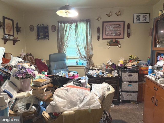 67 Fairfield St, Carlisle, PA 17013 - view of carpeted bedroom