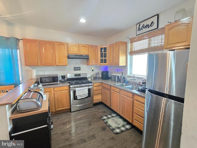 300 N Orchard Rd, Vineland, NJ 08360 - kitchen with appliances with stainless steel finishes, a sink, under cabinet range hood, glass insert cabinets, and dark wood-style flooring
