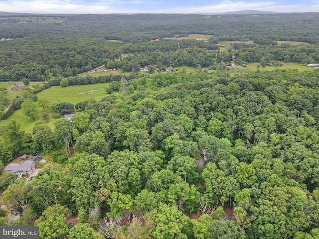 1420 Fishel Rd, Winchester, VA 22602 - aerial view of property's location with a forest