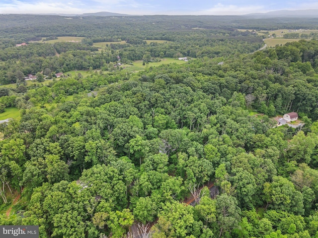 1420 Fishel Rd, Winchester, VA 22602 - drone / aerial view of a forest and mountains