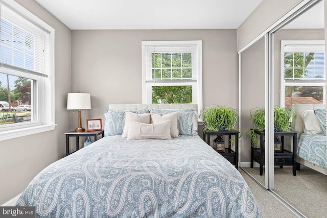 808 Scotia Rd, Philadelphia, PA 19128 - bedroom featuring multiple windows and carpet flooring