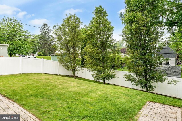 808 Scotia Rd, Philadelphia, PA 19128 - view of yard