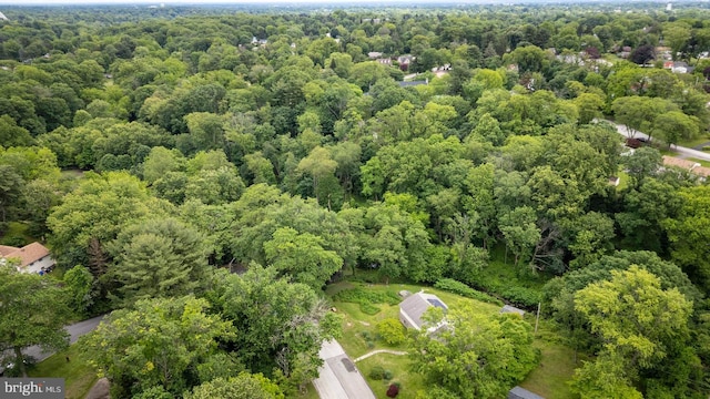 1030 Rock Creek Dr, Wyncote, PA 19095 - aerial view of a forest
