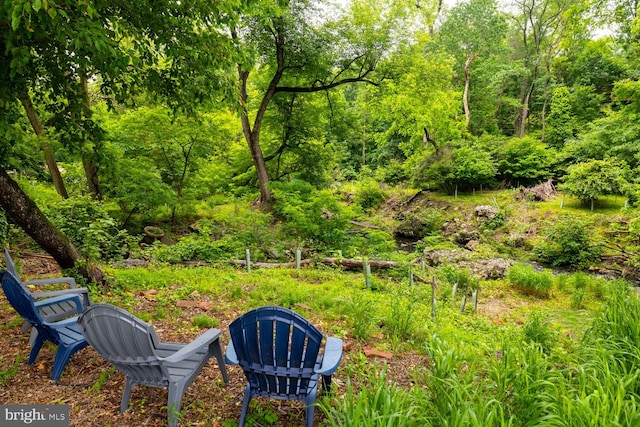 1030 Rock Creek Dr, Wyncote, PA 19095 - view of yard