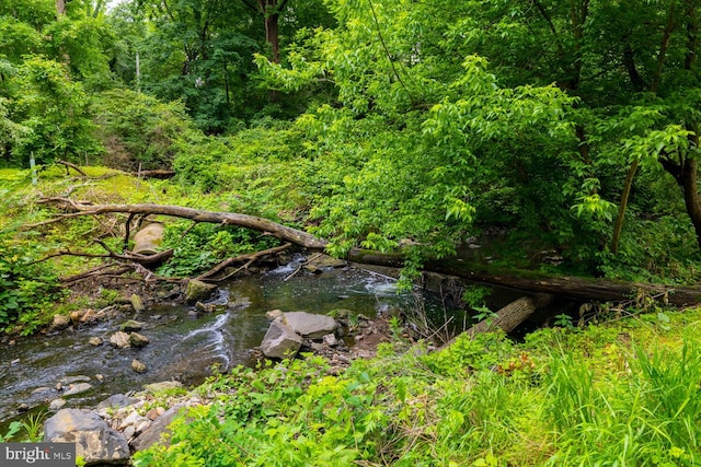 1030 Rock Creek Dr, Wyncote, PA 19095 - view of tree filled area