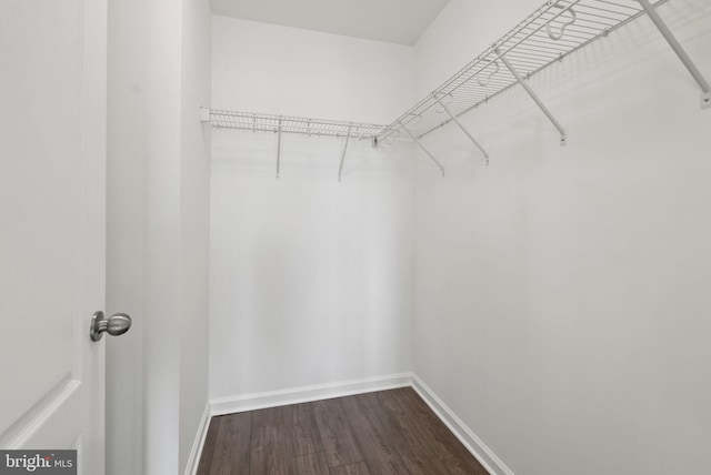 5059 Ottawa Park Pl, Waldorf, MD 20602 - spacious closet with dark wood-style flooring