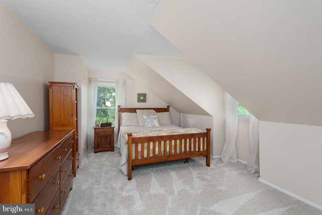 100 Weldon Way, Pennington, NJ 08534 - bedroom featuring light colored carpet and vaulted ceiling